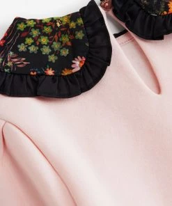 Baker By Ted Baker Pink Frill Collared Sweat Top 7 Baker By Ted Baker Pink Frill Collared Sweat Top -Baker by Ted Baker shop unnamed file 1403 scaled